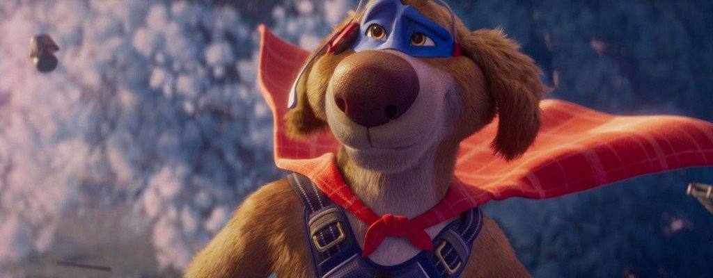 actualité Biscuit, le chien fantastique